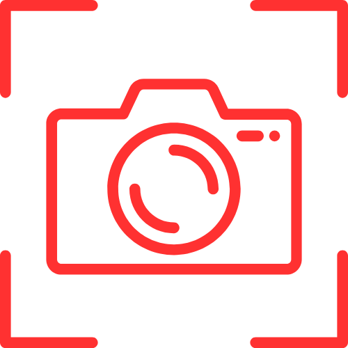 Free Porn Live Streams